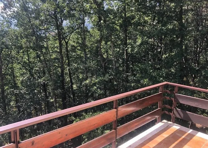 Apartment Edensirente